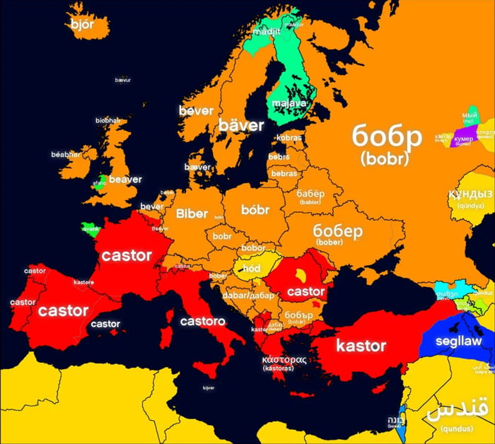 Word for "beaver" in Europe 🦫