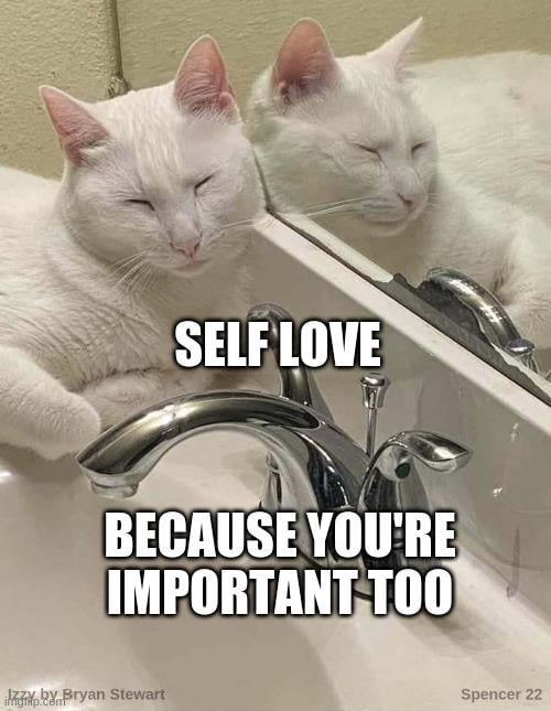 A gentle reminder that self love is important too.. your par