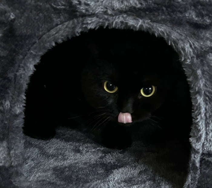 Look into the void and the void mlem‘s back