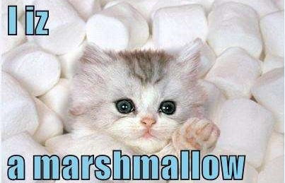 Marshmallow $MRSH