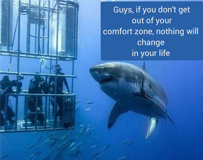 Shark Advice Saturday