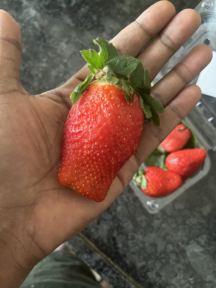 Big ass strawberry 🍓
