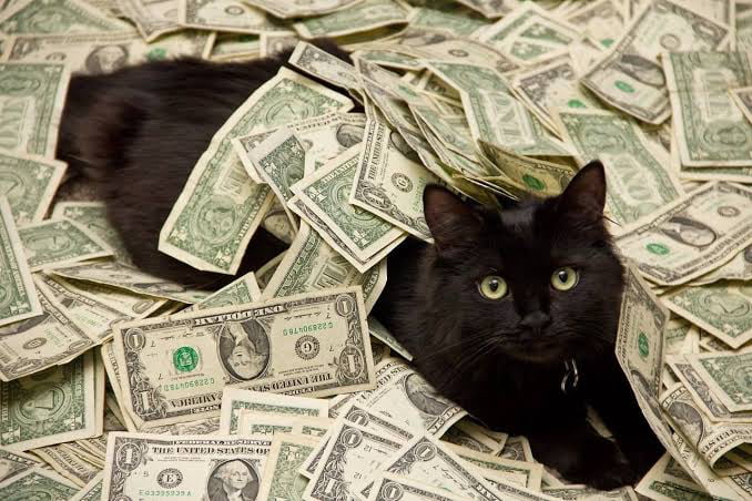 Money cat is here to bring you, prosperity and good health. 