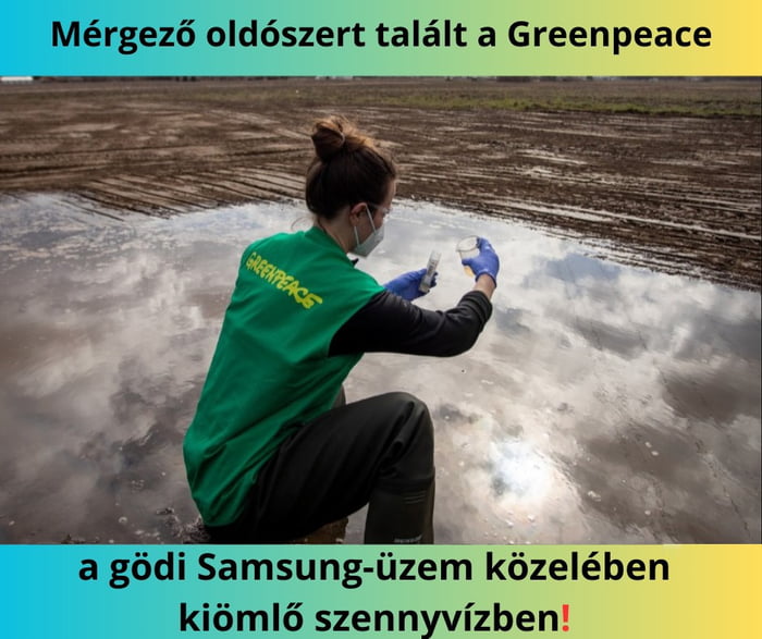 Greenpeace found a toxic solvent in the sewage flowing near 