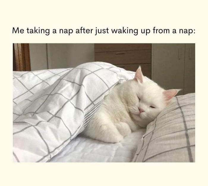 And also feel tired after 12 hours of nap time.