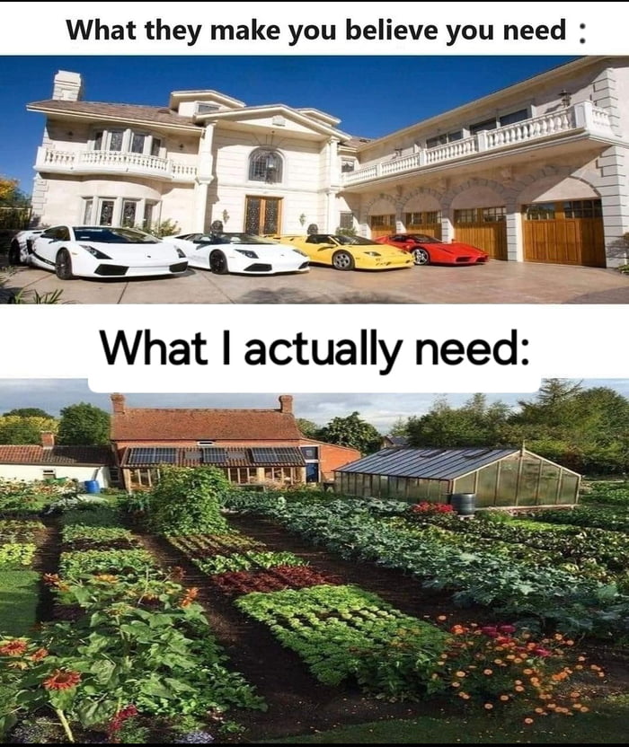 If I had a lot of money, I would also buy a Lamborghini, a L