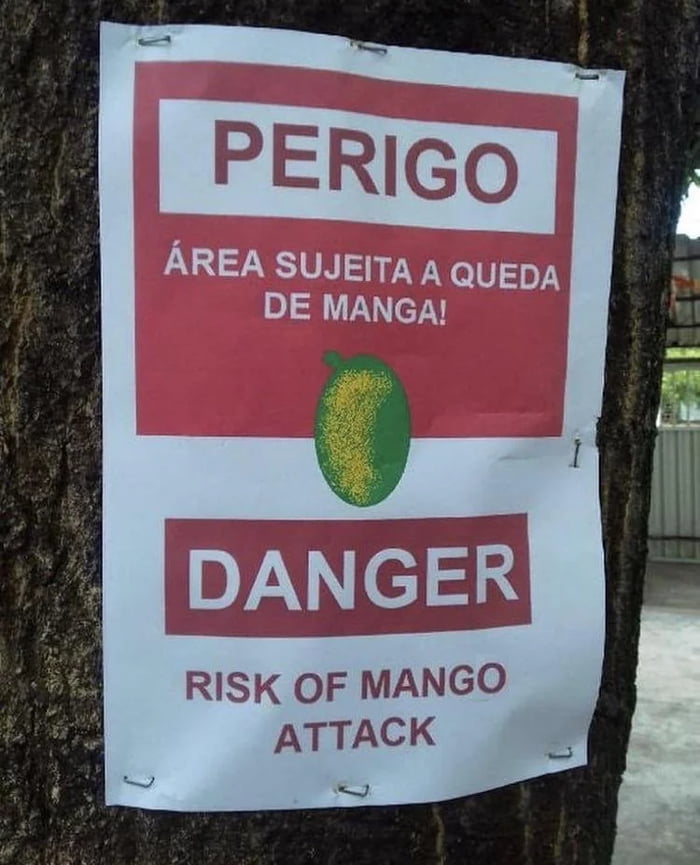 Brazilian risks that they didn't told you