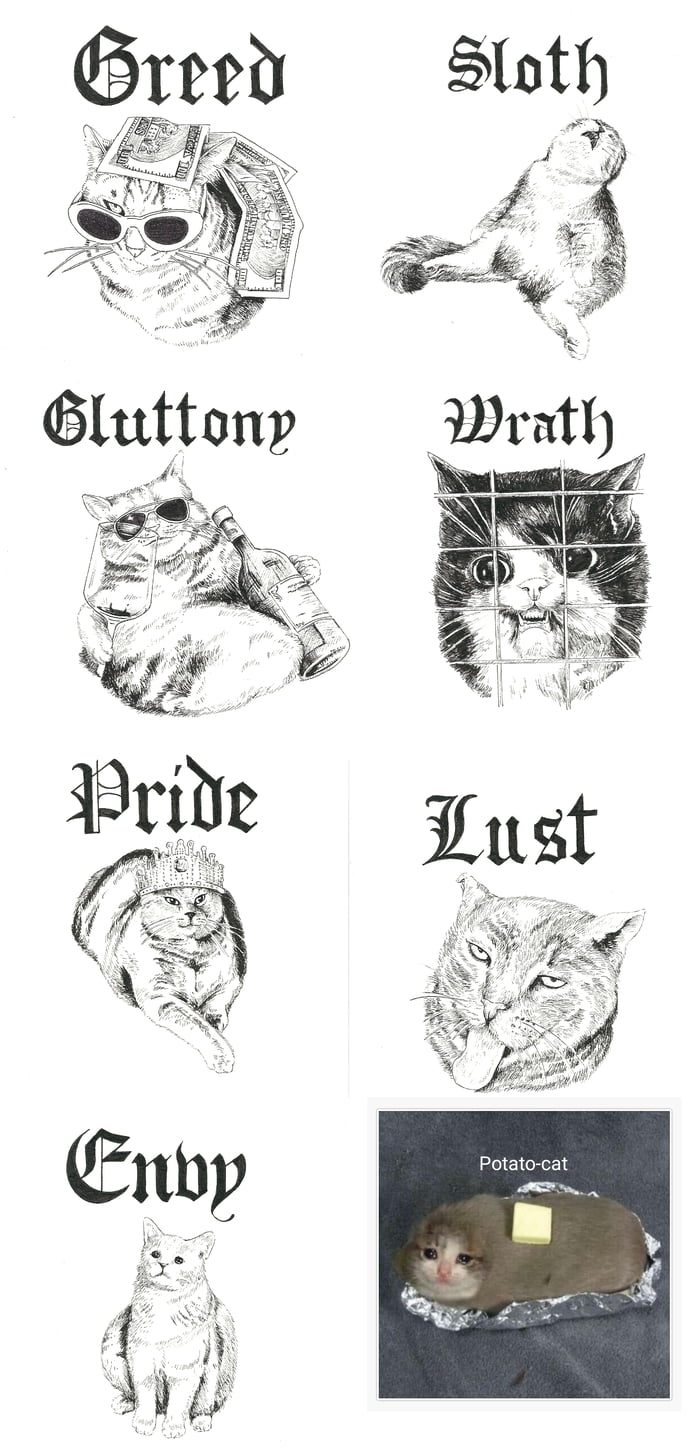All 7 Sins as meme-cats