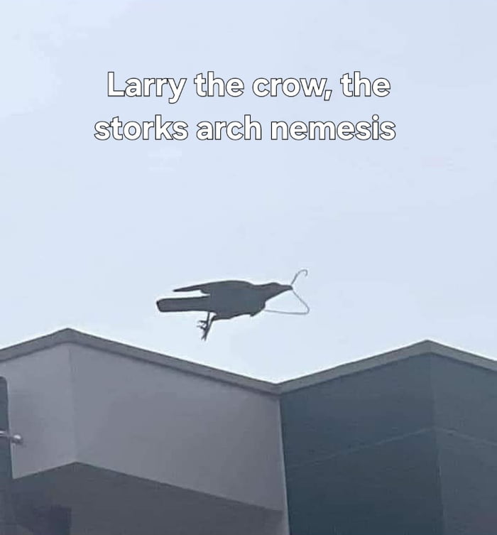 We need you more than ever, Larry