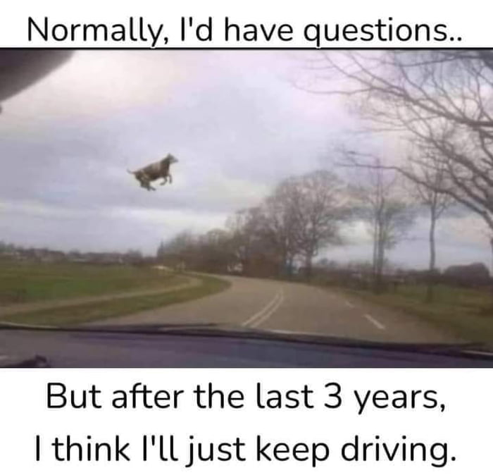 The cows can fly now?