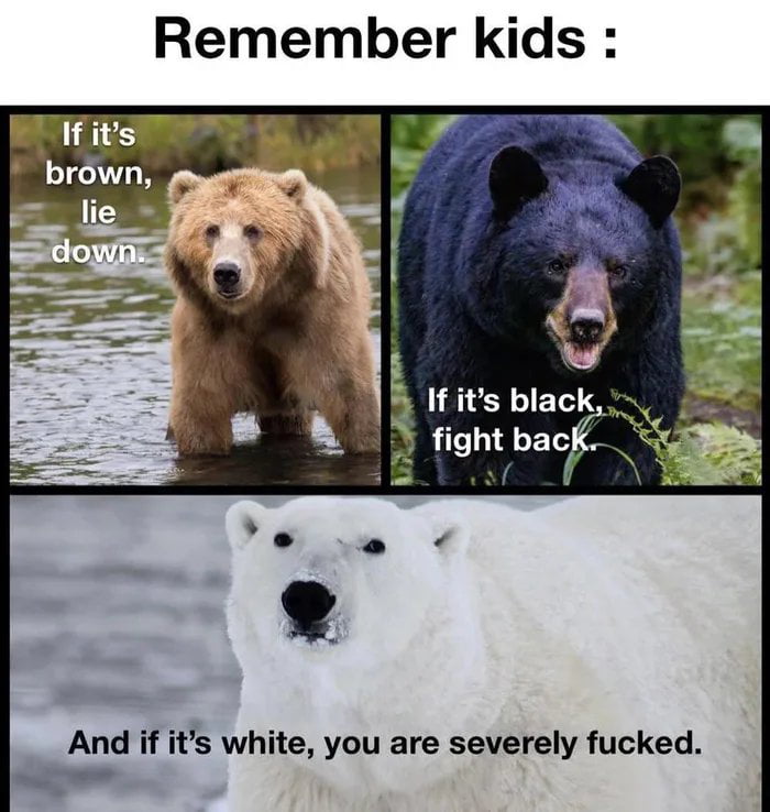 But we're not talking about bears here