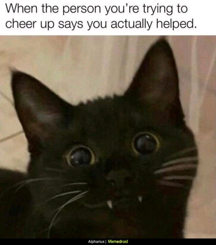 My goal is to post as much wholesome and mental health meme 