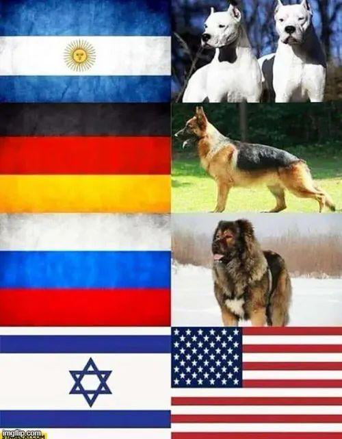 Countries with their dog breed