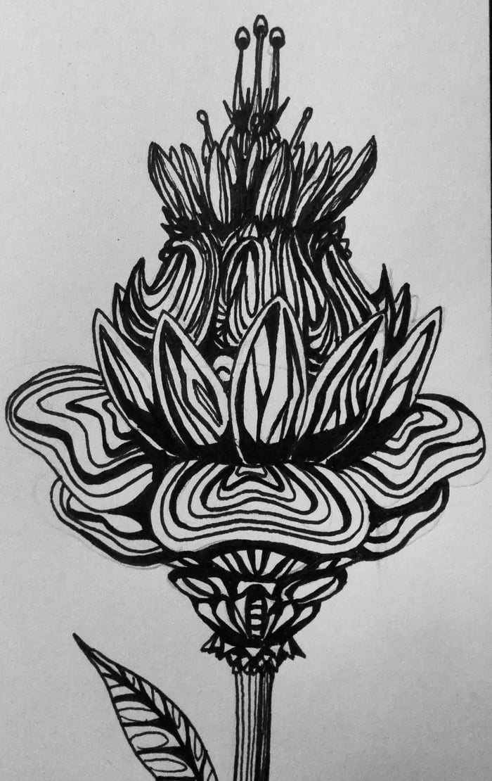 Today I drew this small flower