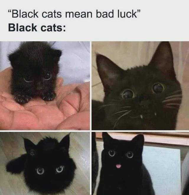 When did we stop calling black cats voids