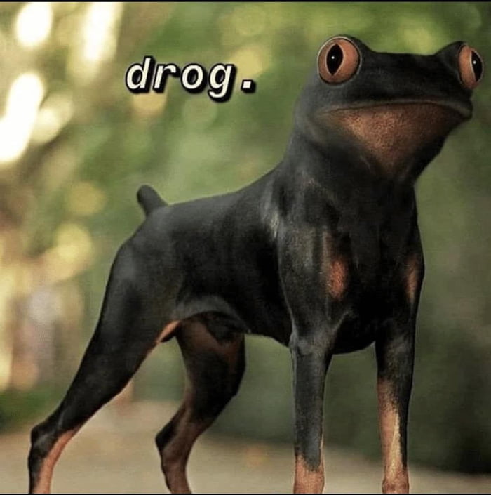 Don't the drog my dude.