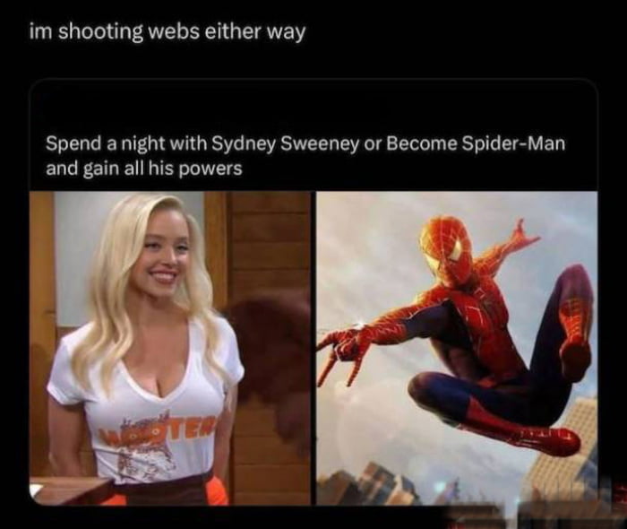 Does spiderman have a web site.....