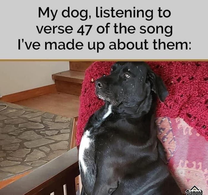 So true! I sing all the time the Songs of Dogs!