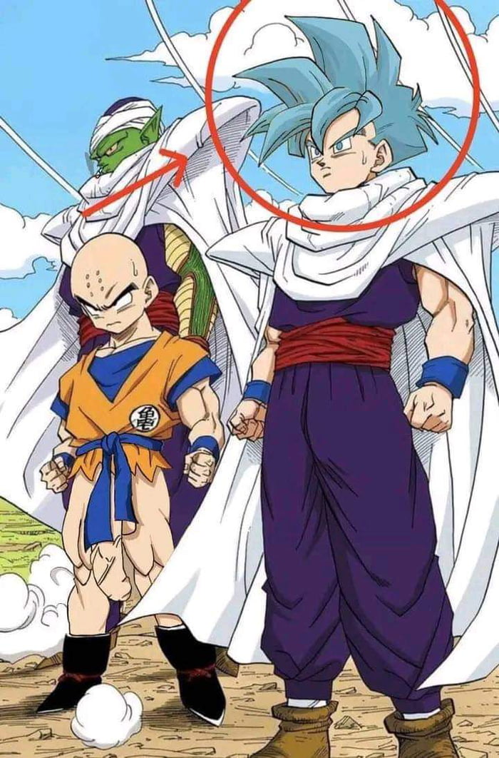Fun fact, Gohan hair was going to be blue but for some reaso