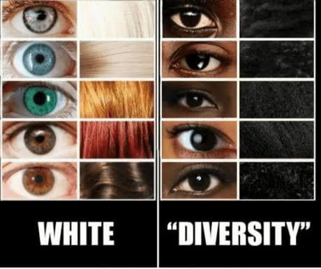 Diversity is out strenght
