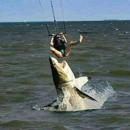 Now this is fishing!