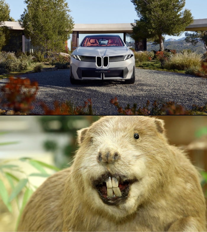 BMW's new inspiration