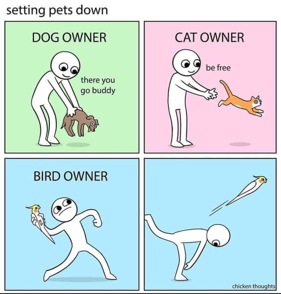 Any bird owner that can confirm this?