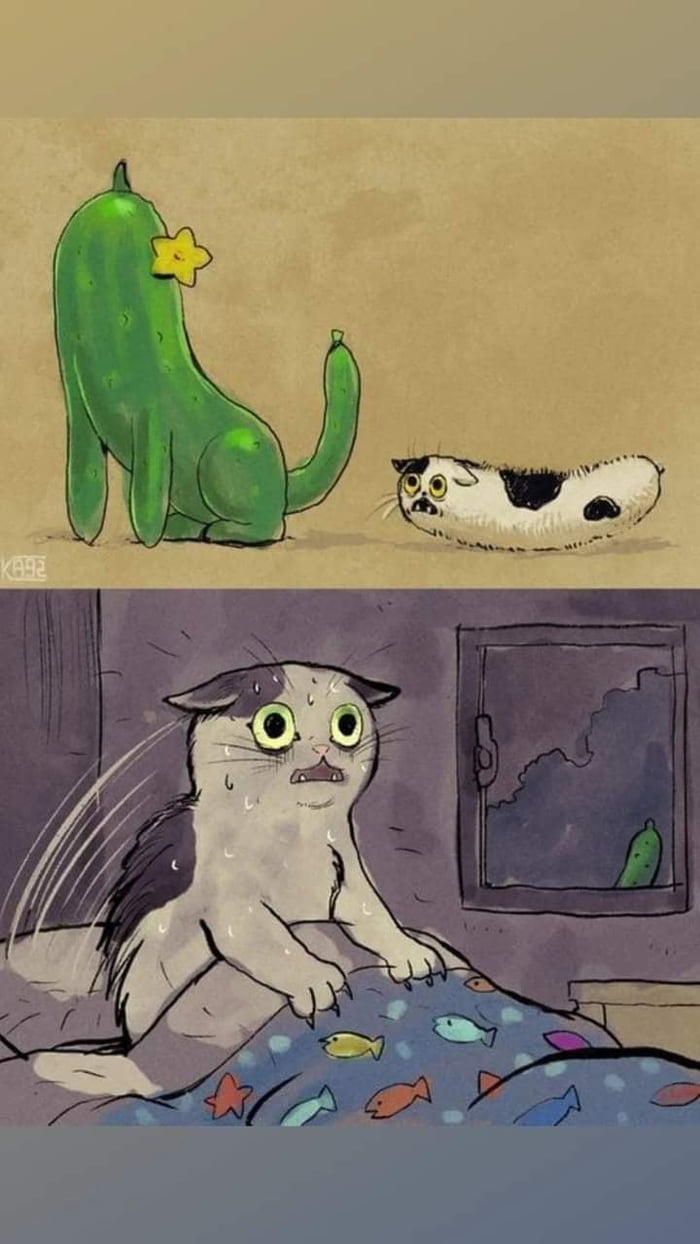 I don't know why are cats are startled by cucumbers, but yes