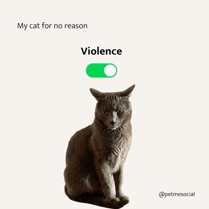 Is your cat a sweet angel or prefers violence?