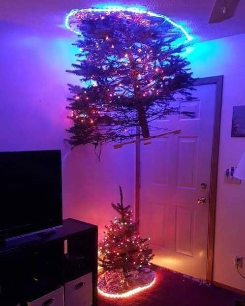 Advanced Physics Department's Christmas tree