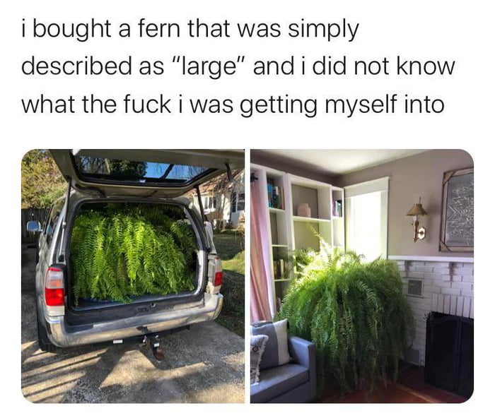 I like big plants and I can't lie. Post a pic of your bigges