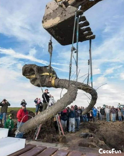 A woolly mammoth skull was found in a farmer’s field in Li Image