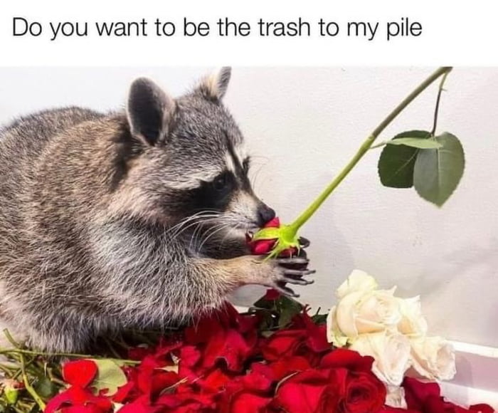Will you accept this chewed up rose? Image