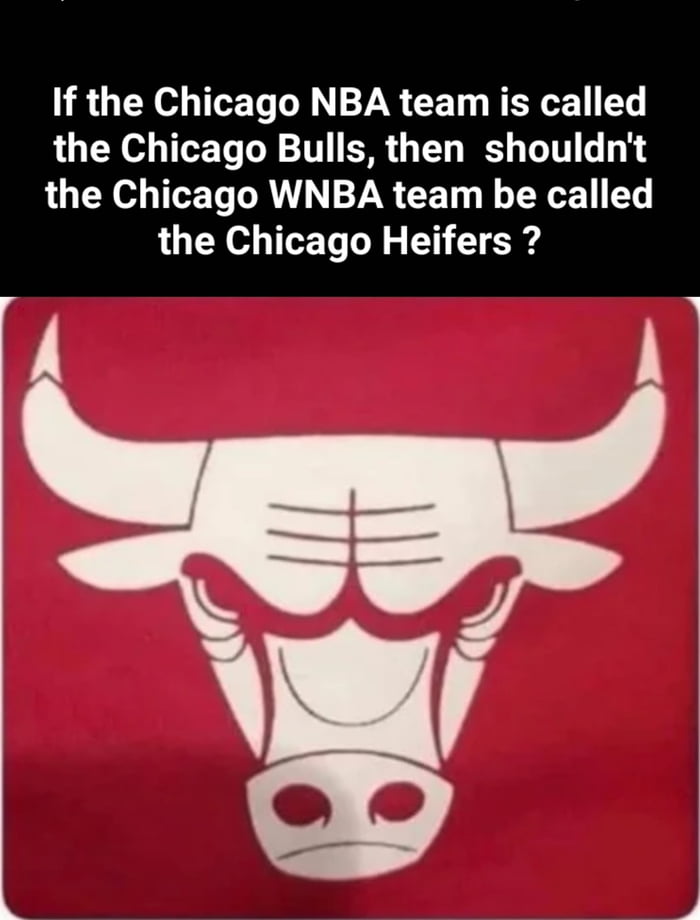 The Chicago Heifers has a nice ring to it. Image